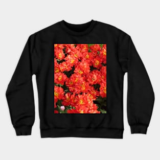 Red Tulips Crewneck Sweatshirt